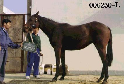 ���� ����