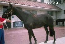 ����� (DAE GONG SE) ����