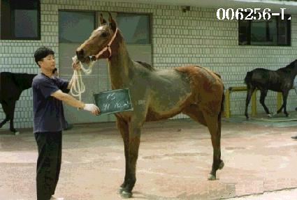 �Ͽ�� ����