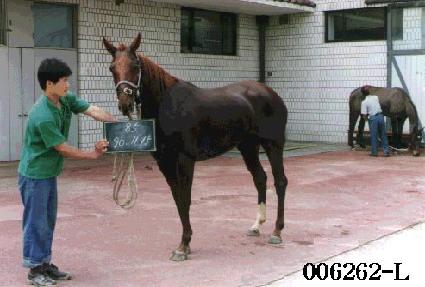 ����źȯ ����