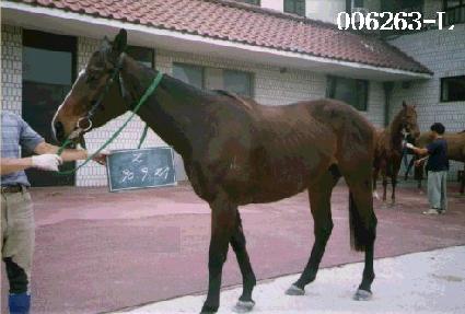 �������� ����