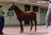 ��޷� (GGA ME RO) ����