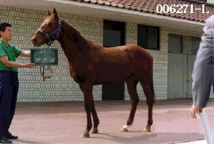 ��޷� ����