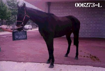 ��ź�� ����