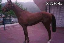 ���߰� (DAE CHU GYEOK) ����