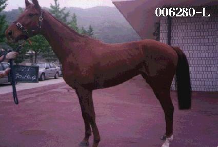 ���߰� ����