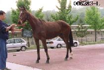 ��鰭�� (NO DEUL GANG BYEON) ����