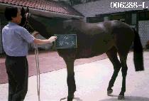 ���� (SANG DAE WON) ����