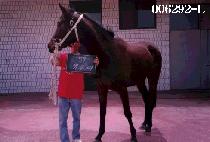 ����� (DAE SEUNG HYEON) ����