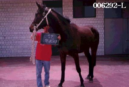 ����� ����