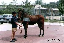 ��ī��ȣũ (SKY HAWK) ����