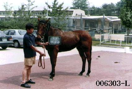 ��ī��ȣũ ����