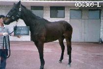 ū�ӽ� (KEUN MEO SEUM) ����