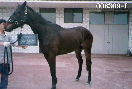 ū�ӽ� ����