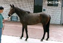 ����� (HYUN DAE SA) ����