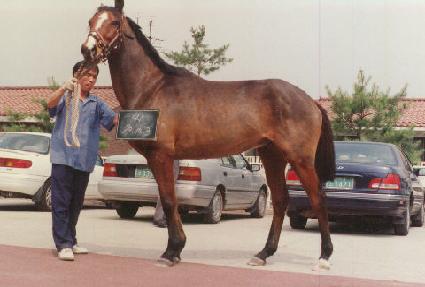 ť����Ÿ ����