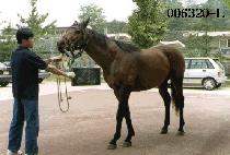 Ÿ�Ӹӽ� (TIME MACHINE) ����