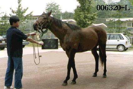 Ÿ�Ӹӽ� ����