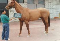 ���� (BYEO SEUL) ����