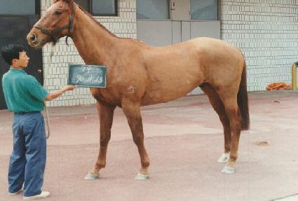 ���� ����