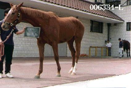 ���Ʈ ����