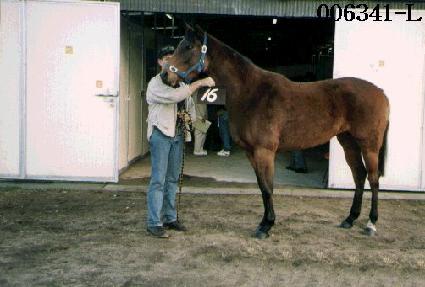 ����ũ��� ����