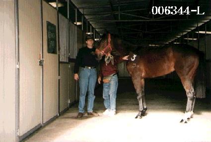 ����ġ ����