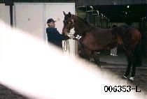 �밨�� (YONG GAM I) ����