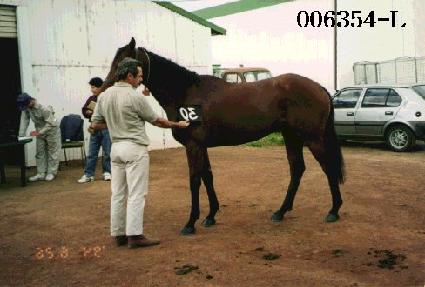 ���� ����