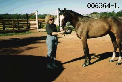 û�»� ����