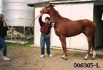 ���� (GYEONG GI WANG) ����