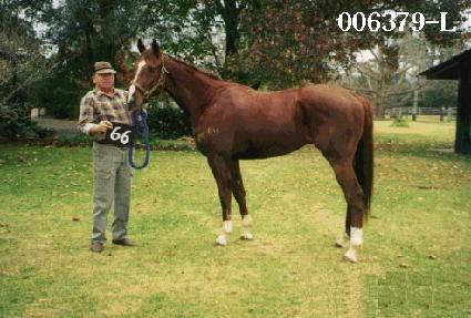 ���� ����