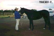 �귻�� (BRENDON) ����