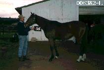 �ְ��� (CHOI GA SOK) ����