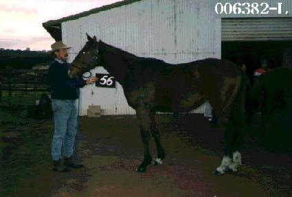 �ְ��� ����