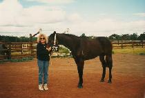 ��� (SHALOM) ����