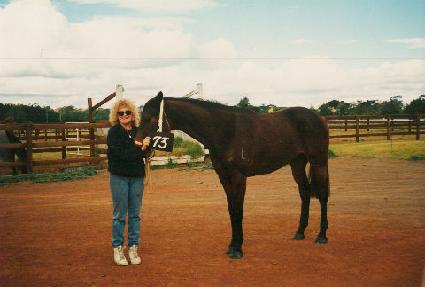 ��� ����