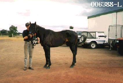 �����̺� ����