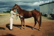 ��ȣ (MAENG HO) ����