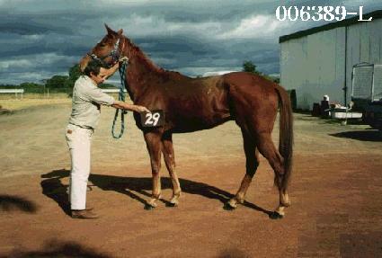 ��ȣ ����