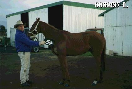 ���� ����