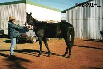 ��»� (DAE SEUNG SAN) ����