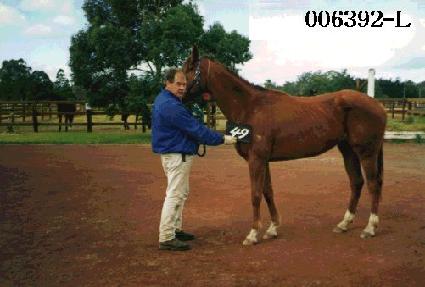 ������ ����