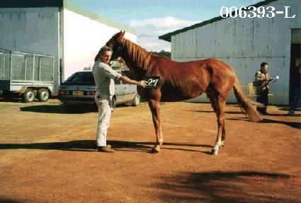 ��ȣ�� ����