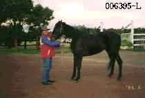 ���� (GUK LYEOK) ����