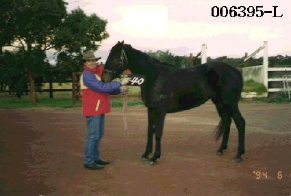 ���� ����