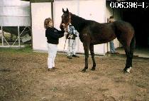 �¸�� (GOOD MORNING) ����