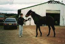 �Ƶ��Ͻ� (ADONIS) ����