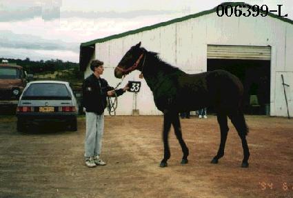 �Ƶ��Ͻ� ����