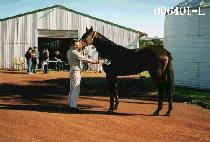 �˷���� (ALEXANDER) ����